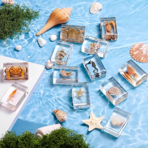 12 Pcs Real Ocean Animal & Insect Specimens in Resin - Educational Science Display Collection with 12 Unique Styles - Perfect for School Projects, Bug Collectors & Home Decor in Kuwait