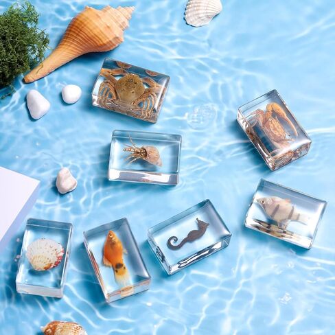 12 Pcs Real Ocean Animal & Insect Specimens in Resin - Educational Science Display Collection with 12 Unique Styles - Perfect for School Projects, Bug Collectors & Home Decor in Kuwait