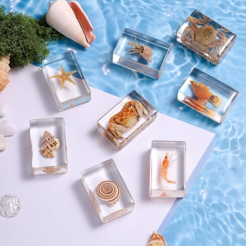 12 Pcs Real Ocean Animal & Insect Specimens in Resin - Educational Science Display Collection with 12 Unique Styles - Perfect for School Projects, Bug Collectors & Home Decor in Kuwait