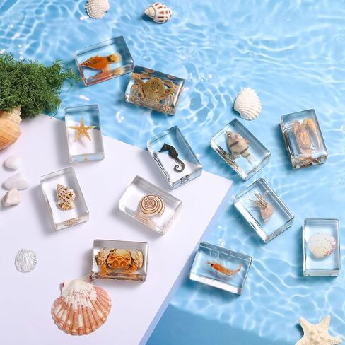 12 Pcs Real Ocean Animal & Insect Specimens in Resin - Educational Science Display Collection with 12 Unique Styles - Perfect for School Projects, Bug Collectors & Home Decor in Kuwait