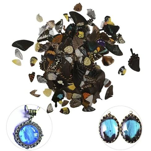 100Pcs Real Butterfly Specimens Natural Butterfly Wings DIY Jewelry Artwork Specimen Art Hand Craft(Random Mixed) in Kuwait