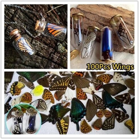 100Pcs Real Butterfly Specimens Natural Butterfly Wings DIY Jewelry Artwork Specimen Art Hand Craft(Random Mixed) in Kuwait