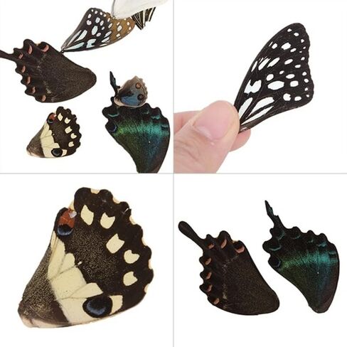 100Pcs Real Butterfly Specimens Natural Butterfly Wings DIY Jewelry Artwork Specimen Art Hand Craft(Random Mixed) in Kuwait