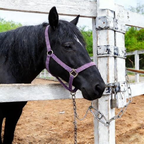 2 Pack Duty Stainless Steel Chain with 4 Carabiners,25in 550LB Hanging Swing Chain for Punching Bags, Swing Chairs,Hammocks, Indoor & Outdoor Fence in Kuwait