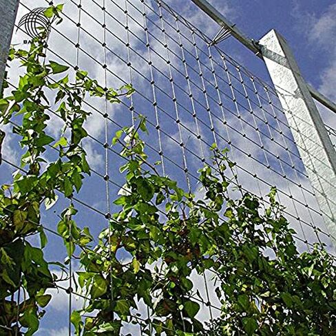 304 Stainless Steel Wire Cable Vinyl Coated, Outdoor Light Guide Wire, Suitable 1/16 Inch Overmolded to 3/32 Inch 200FT in Kuwait