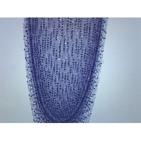 EISCO (Pack of 10) Allium Root Tip, Longitudinal Section - Prepared Microscope Slides - Classroom Pack, 10 Slides in Storage Case - Biology & Microscopy in Kuwait