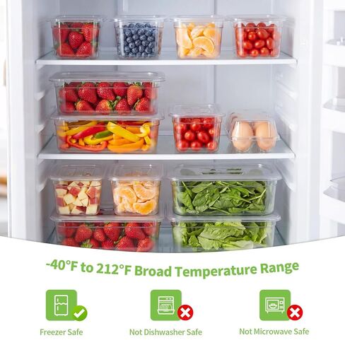 Sliner 10 Pack Plastic Clear Food Pans with Lids, Including 6 x 1/6 Size and 4 x 1/3 Size, 4 Inches Deep, Stackable and Freezer Safe Commercial Food Storage Containers for Fridge Salad Polycarbonat in Kuwait