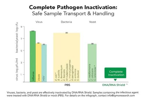 Zymo Research R1100-250 DNA/RNA Shield (250 ml) in Kuwait