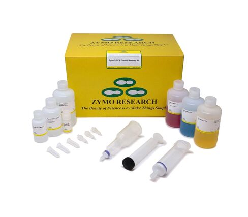 Zymo Research D4202 ZymoPURE II™ Plasmid Maxiprep (10 preps) in Kuwait