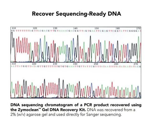 Zymo Research D4007 Zymoclean™ Gel DNA Recovery Kit (50 Preps) with Zymo-Spin™ IC Columns (Capped) in Saudi Arabia