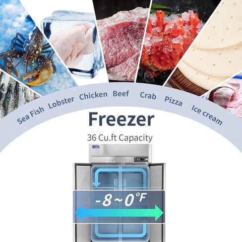 ICECASA 48 "W وصول الفريزر التجاري إلى 36 قدم مكعب 2 باب صلب من الفولاذ المقاوم للصدأ مروحة تبريد تجارية للمطاعم والبار والمتجر وما إلى ذلك in Saudi Arabia