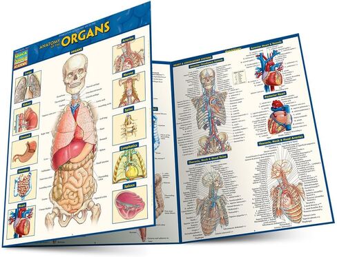 Anatomy of the Organs: QuickStudy Laminated Reference Guide (Quick Study Academic) in Kuwait