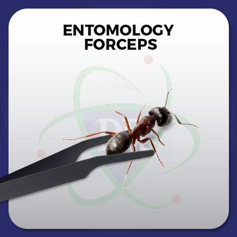 Entomology Forceps Set, One Long Points and One Short Broad Points Forcpes. Ideal for a delegate entomology work. Superlight flexible stainless-steel, construction. Set of 2. in Saudi Arabia