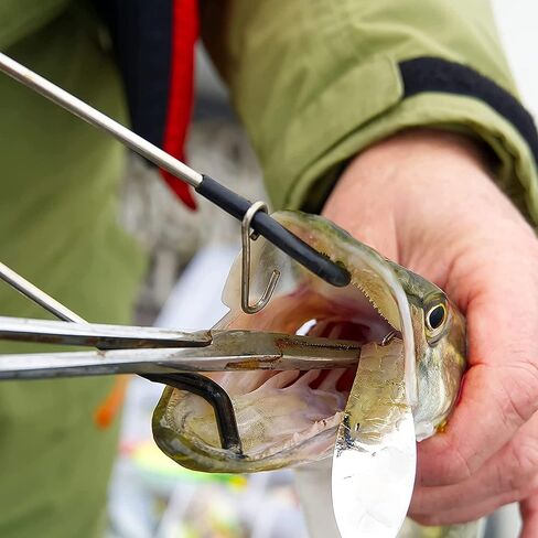 Ultimate Hemostat Set, 6 Piece Ideal for Hobby Tools, Electronics, Fishing and Taxidermy - 7.5", 5.5" and 3.5", Stainless Steel, Curved & Straight in Kuwait