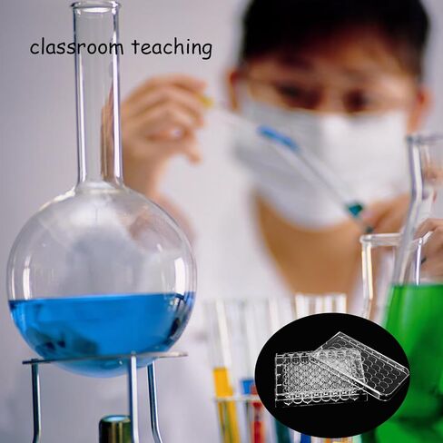 48 Well Cell Culture Plate Serving Tray, 2 PCS Pill Filler Tray, Tissue Culture Plate for Lab Equipment (Holes Dia: 1.1cm) in Kuwait