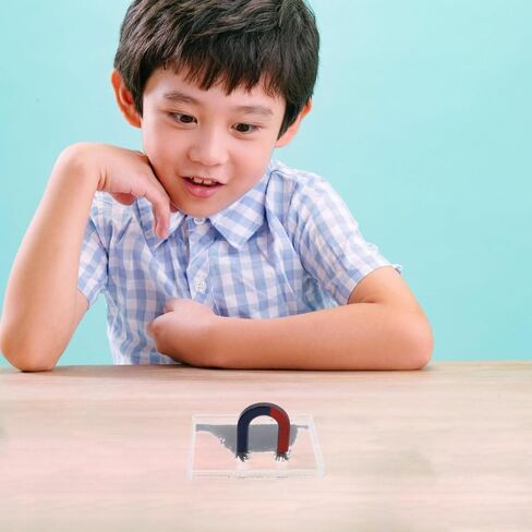 Scientific Iron Filings Box, 3.69X2.75in Metal Powder Box Simulates Magnetic Field Demonstrator, Magnetic Flux Lines Depiction Experiment Physics Electromagnetism Teaching Instrument in Kuwait