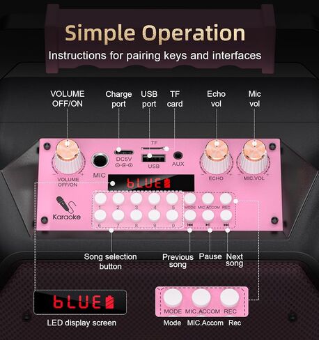 Karaoke Machine with 2 Wireless Microphones, Portable Bluetooth Speaker with RGB Strobe Lights, PA System Supports TWS/USB/TF/REC/AUX, Karaoke Speaker for Adults & Kids, Pink in Kuwait