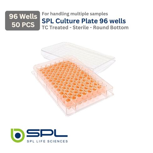 SPL 96 Wells Culture Plate,PS,TC Treated, Round Bottom, Sterile Case of 50 in Saudi Arabia