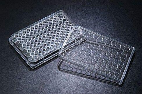 SPL 96 Wells Culture Plate,PS,TC Treated, Round Bottom, Sterile Case of 50 in Saudi Arabia