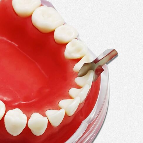 30pcs/Pack Dental Twin Anterior Matrices Large Small Proximal Anterior StripsMatrix Systems, Dental Restoration Materials in Kuwait