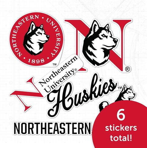 ملصق جامعة نورث إيسترن صبار الصحراء Huskiesr شارات الفينيل زجاجة مياه للكمبيوتر المحمول ورقة قصاصات السيارة T2 (النوع 2-3) in Kuwait