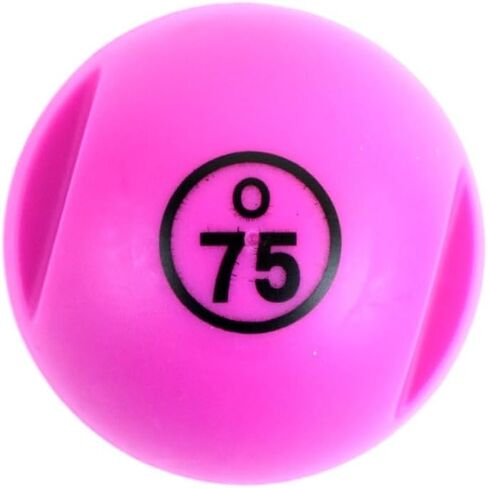 Treasure Gurus Purple Bingo Ball Magnet Wand 100 Player Chips Caller Markers Hard Paper Card Plastic Game Night Accessories in Saudi Arabia