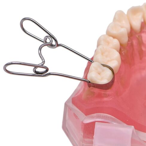 1Box/36PCS Dental Saddle Contoured Metal Matrices Matrix with Springclip， NO. 1.330 Dentist Tool in Saudi Arabia