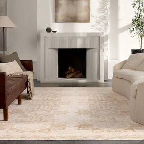Jaipur Living Machine Washable, Vintage 5x8 Area Rug, Boho, Tan and Cream, Living Room Rug, Bedroom Rug