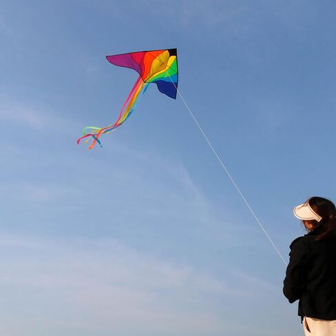 Delta Kite for Kids & Adults, Rainbow Splicing Kites,Easy to Fly Kite,Beginner Kite Beach Kite for Outdoors Game with Line and Handle in Saudi Arabia