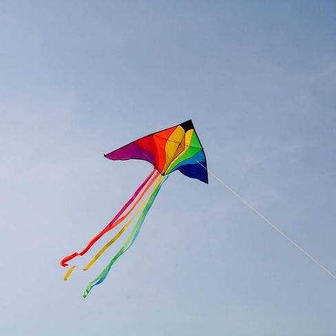 Delta Kite for Kids & Adults, Rainbow Splicing Kites,Easy to Fly Kite,Beginner Kite Beach Kite for Outdoors Game with Line and Handle in Saudi Arabia