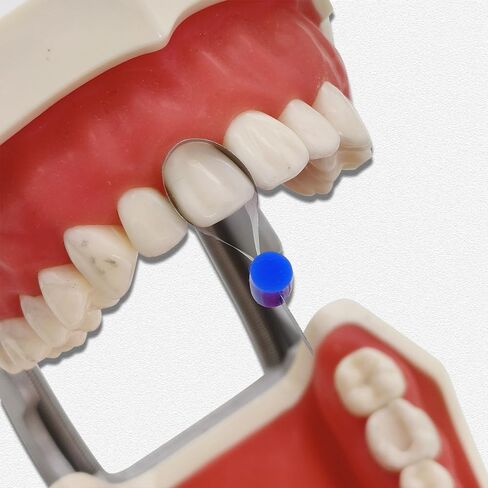 10pcs/Pack Dental Twin Anterior Matrices with Locker Dental Sectional Contoured Metal Matrices Polyester Matrice Dentist Matrix Material in Kuwait