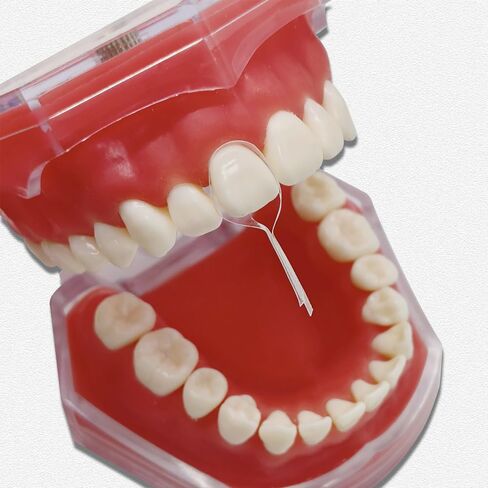 20pcs/Pack Dentist Polyester Matrices Dental Self-Adhesive Transparent Sectional Contoured Twin Anterior Matrices in Kuwait