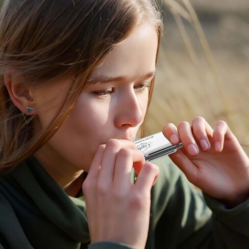 Professional Harmonica Set 4 Pack, 10 Hole 20 Tone Blues Harp in Keys C G D A, Silver Diatonic Mouth Organ Bundle with Stainless Steel Cover for Practice, Studio, Band Jam & Stage Performance in Kuwait