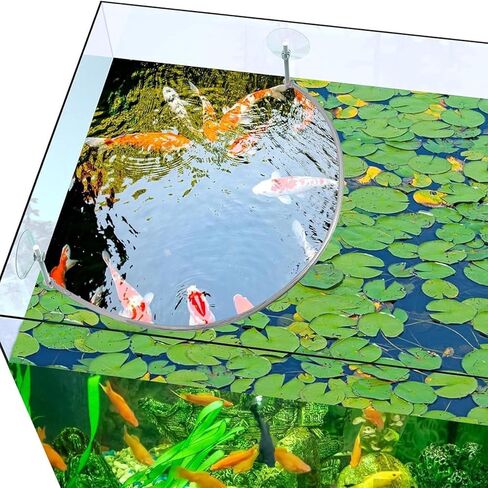 أحواض السمك النبات العائمة سياج النبات العائمة حلقات تغذية الأسماك لخزانات الأسماك لوازم أحواض السمك المنزلية in Kuwait