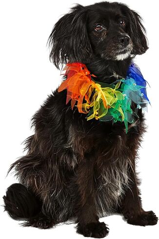 Rubie's Costume Co Fancy Rainbow Pet Collar, Small/Medium in Saudi Arabia