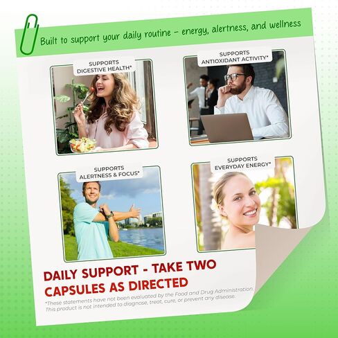 Ultra Green Tea, EGCG, Caffeine & Alpha-GPC – Natural Energy, Focus & Metabolism Support – Made in The USA – 150 Capsules in Kuwait