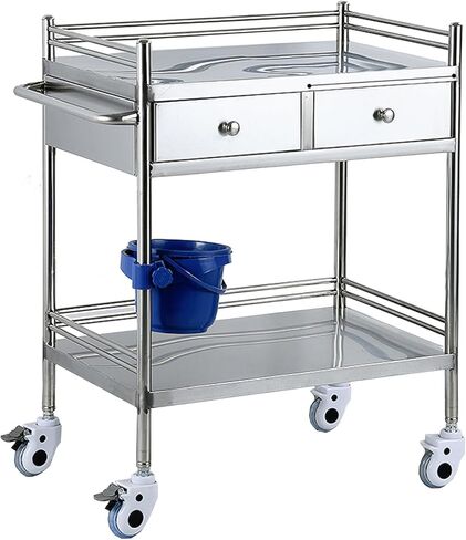 عربة ترولي، عربة متنقلة بطبقتين، عربة تقديم المختبر، عربة أدوات احترافية بعجلات، لعيادة الأسنان، المختبر، عربة تخزين صالونات التجميل in Saudi Arabia