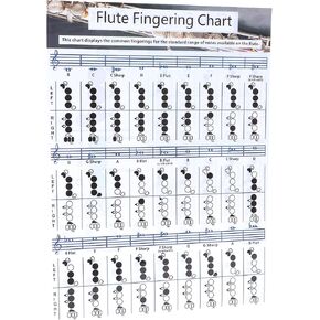 Flute Accessories, Flute Chord Chart, 28×21cm Flutes Book, for Flutes Students Who are Beginners to Learn Fingering and Scales in Saudi Arabia