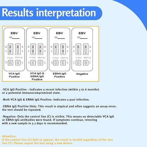 Epstein-Barr (EBV) Test Kit at-Home – No Need for a lab Visit– Detects IgG Response to VCA & EBNA (for in Vitro Diagnostic Use Only), Finger-Prick Sample. in Kuwait