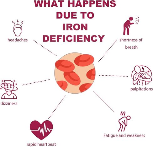 Iron Deficiency Test Kit, Suitable for Children and Adults, at-Home Iron Test Kit for Anemia.Iron Test Kit for Quick Response and Accurate Results in Kuwait