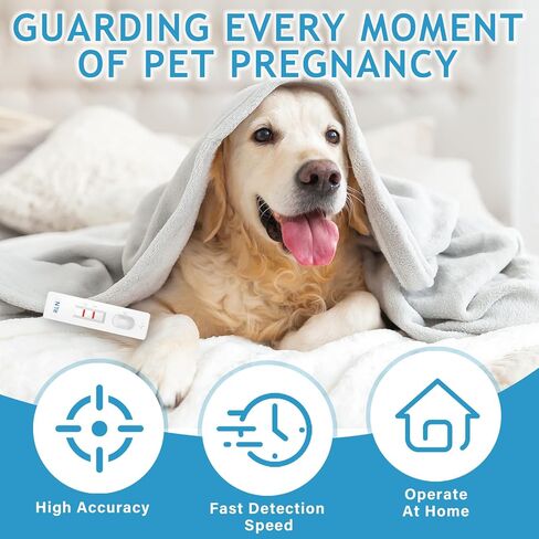مجموعة اختبار حمل الكلاب، استخدام منزلي بسيط، شرائط اختبار يمكن التخلص منها للكلاب والقطط، شرائط اختبار حمل الحيوانات الأليفة سريعة ودقيقة، نتائج في دقائق، غير ضارة للحيوانات الأليفة in Kuwait