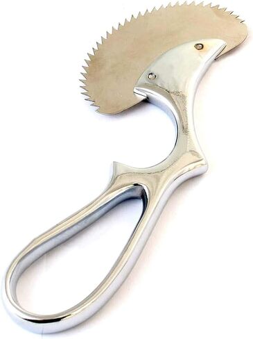 Angled Bone Saw 6" Stainless Steel Instruments in Saudi Arabia