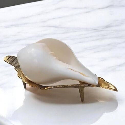 حصري 5 بوصة تهب الصوت صنع شانخا شانخ قوقعة مع 7.5 بوصة النحاس الذهبي حامل قطعة جميلة لبوجا اليومية in Kuwait