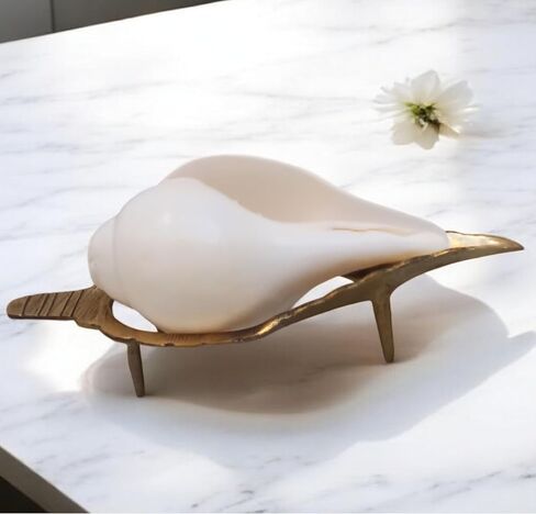 حصري 5 بوصة تهب الصوت صنع شانخا شانخ قوقعة مع 7.5 بوصة النحاس الذهبي حامل قطعة جميلة لبوجا اليومية in Kuwait