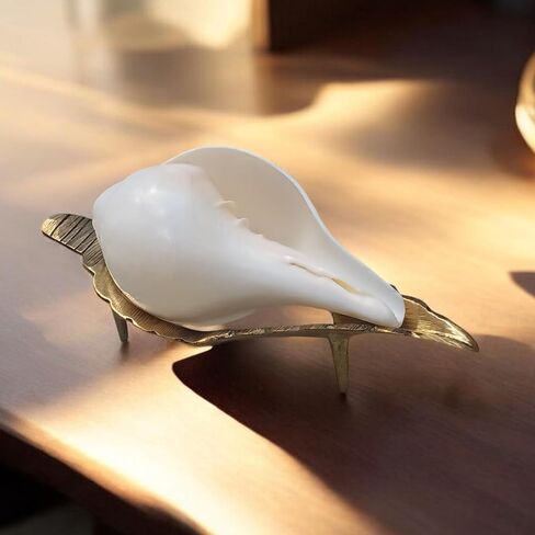 حصري 5 بوصة تهب الصوت صنع شانخا شانخ قوقعة مع 7.5 بوصة النحاس الذهبي حامل قطعة جميلة لبوجا اليومية in Kuwait