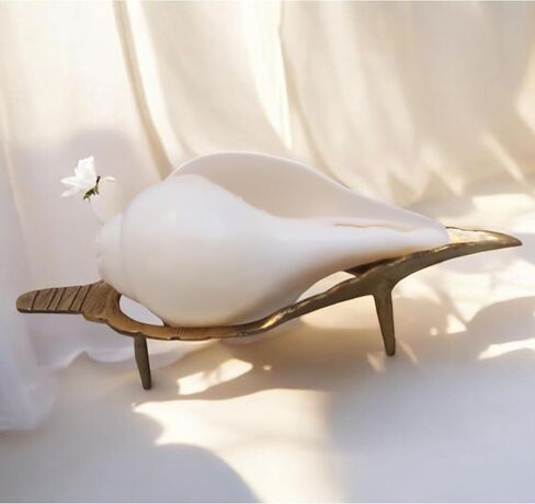 حصري 5 بوصة تهب الصوت صنع شانخا شانخ قوقعة مع 7.5 بوصة النحاس الذهبي حامل قطعة جميلة لبوجا اليومية in Kuwait