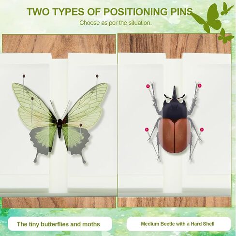 18Pcs Insect Pinning Kit, Beginner Entomology Kit with Tracing Paper, Tweezers, Scissors, Picture Frame, Insect Pins, Butterfly Pins and Foam Pinning Board. in Kuwait