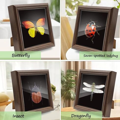 18Pcs Insect Pinning Kit, Beginner Entomology Kit with Tracing Paper, Tweezers, Scissors, Picture Frame, Insect Pins, Butterfly Pins and Foam Pinning Board. in Kuwait