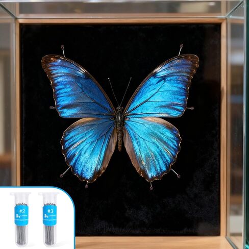 200 Pcs Stainless Steel Insect Pins Kit with Resin for Head, Specimen Entomology Pins and Butterfly Collections Needle for Entomology Display Butterfly Collectors (2 Sizes) in Saudi Arabia