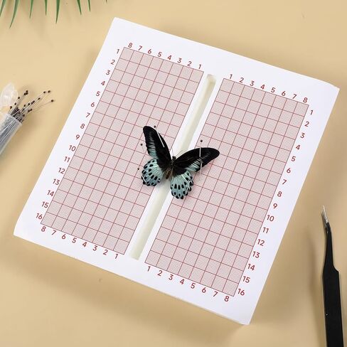 Insect Pinning Foam 6x6" Butterfly Spreading Boards Bug Pin Board EVA Foam Adjustable Insects Wings Spreading Boards Double Sided in Saudi Arabia